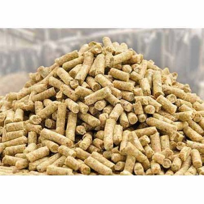 DE-OIL RICE BRAN POWDER/PELLET FOR POULTRY AND CATTLE FEED