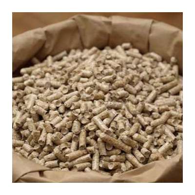 SUGARCANE BAGASSE PELLETS FROM VIETNAM - Ms. Latifah