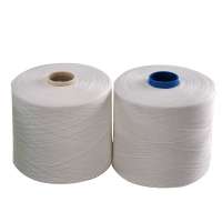 20/2 Polyester Ring Spun Yarn Manufacturer In China