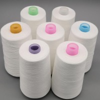 Dyed 100% Virgin Polyester Spun Yarn NE30/2 20s/2 30 2 20 2 Customize price per kg